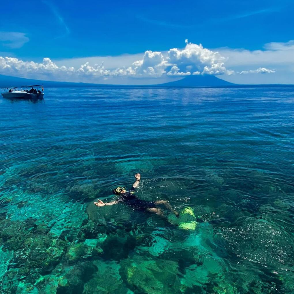 Menjangan &amp; Tabuhan